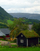 Норвегия.  Типичные домики с травяной крышей